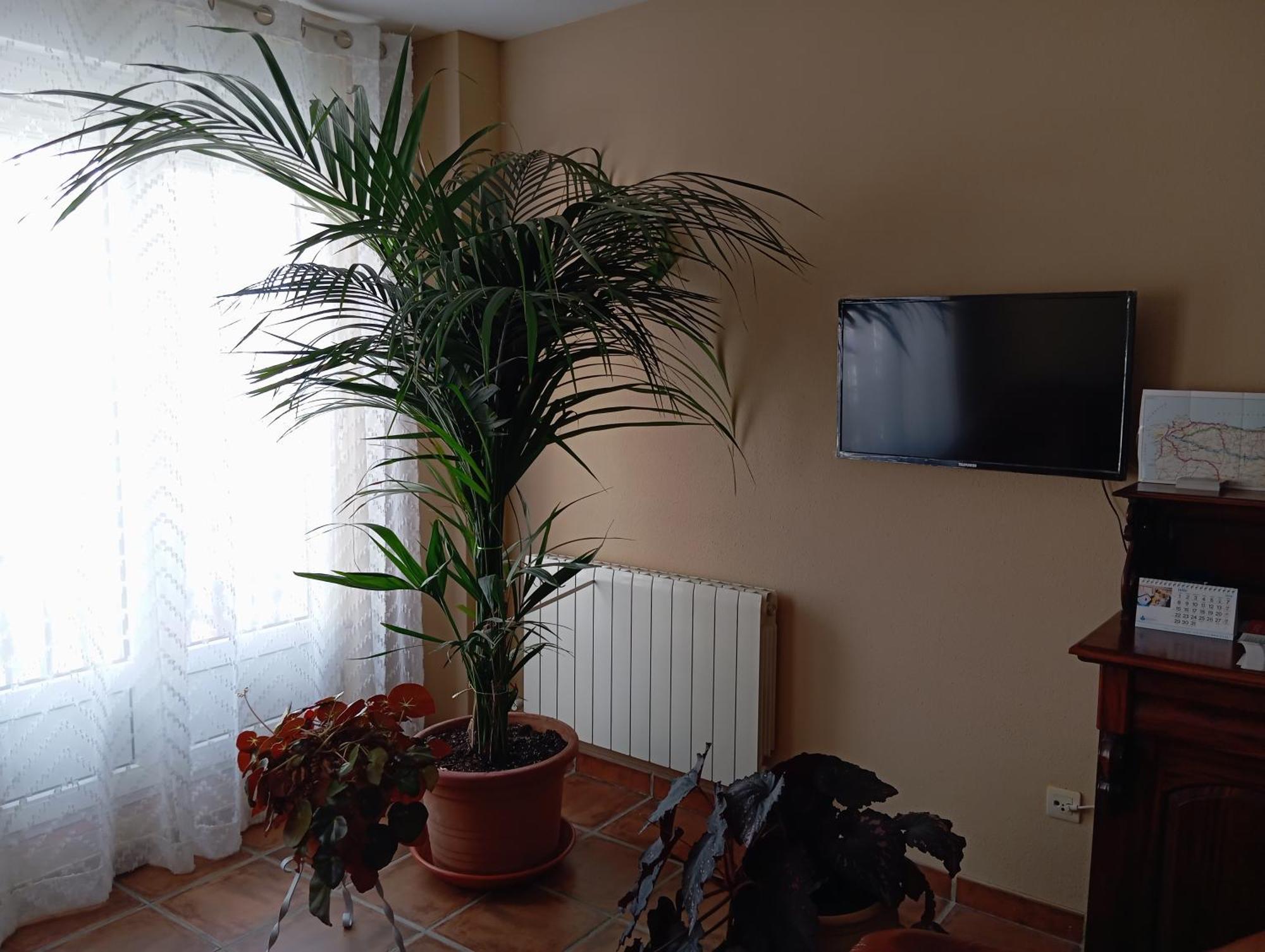 Hostal Santiago Carrion De Los Condes Exterior photo
